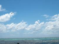 moorea sky 